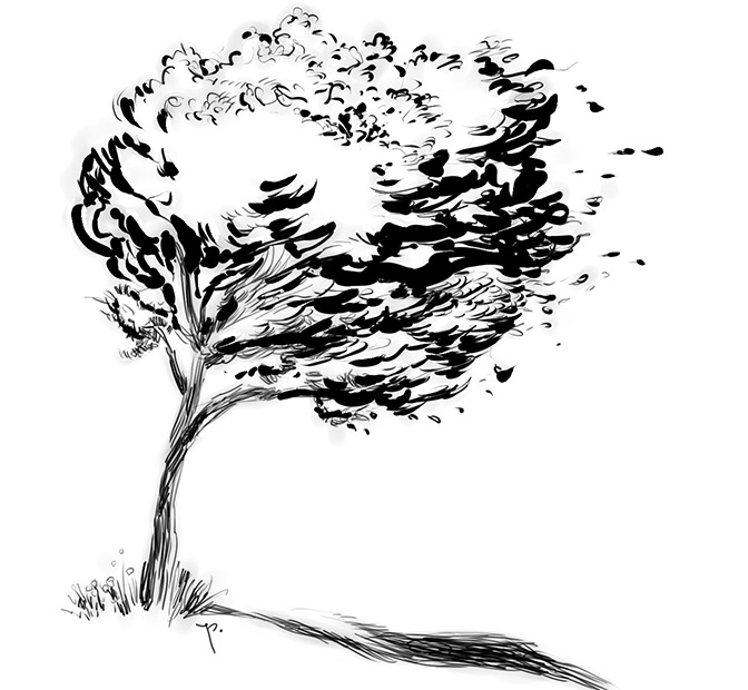 windy tree