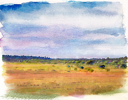 watercolor painted field