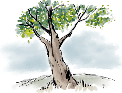 vista pointed tree